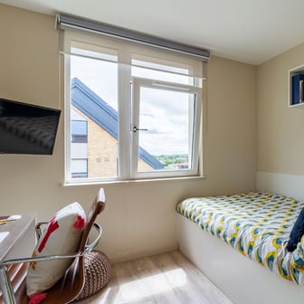 Gold Studio - Image 9